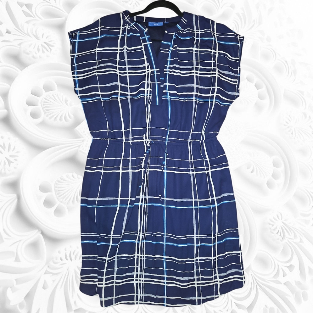 Apt. 9 Blue and White Checkered Dress